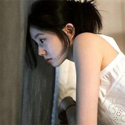 雪豹和她的朋友们